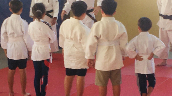 Junior Judo Term 3 Program